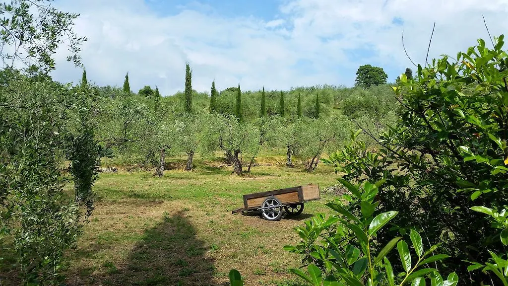 Ulivi Di Castello Bed & Breakfast Florence