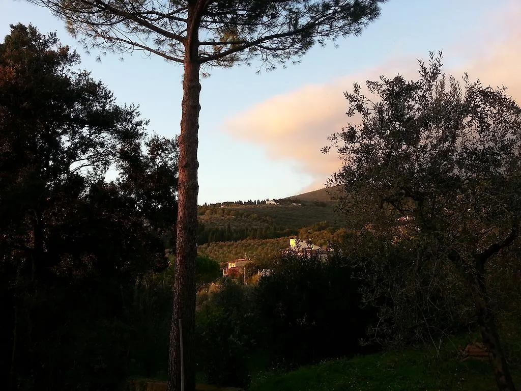 Ulivi Di Castello Bed & Breakfast Florence